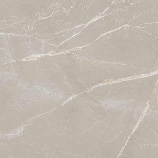 Керамогранит AVS by Colortile Spiderweb Silver 60x60 полированный Керамогранит AVS by Colortile Spiderweb Silver 60x60 полированный