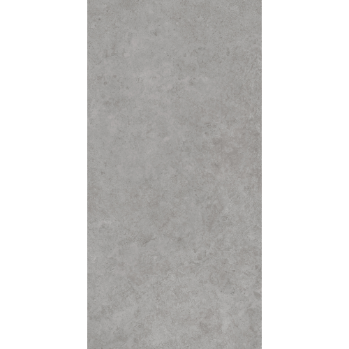 Керамогранит AVS by Italian Design Antica Grey 60x120 Lappato