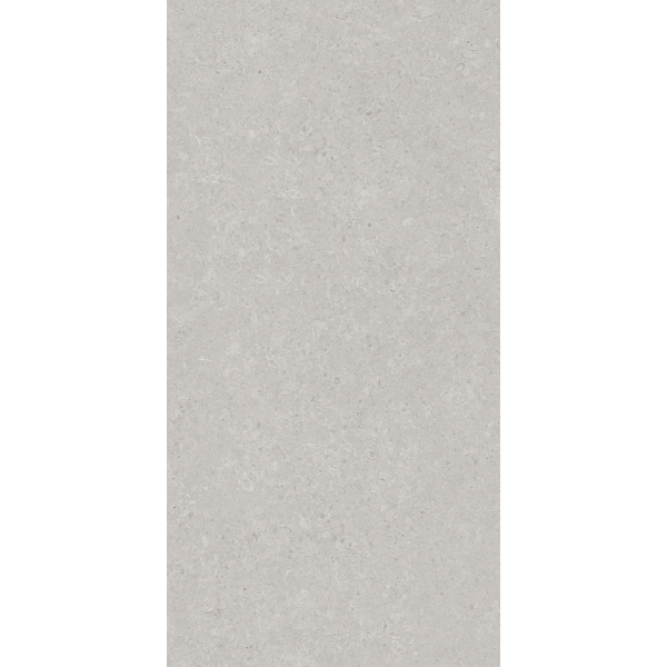 Керамогранит AVS by Italian Design Velluto Grey 60x120 Moon Light Stone Керамогранит AVS by Italian Design Velluto Grey 60x120 Moon Light Stone