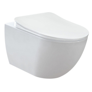 Унитаз подвесной Creavit Free FE322-00CB00E-0000 безободковый с биде 