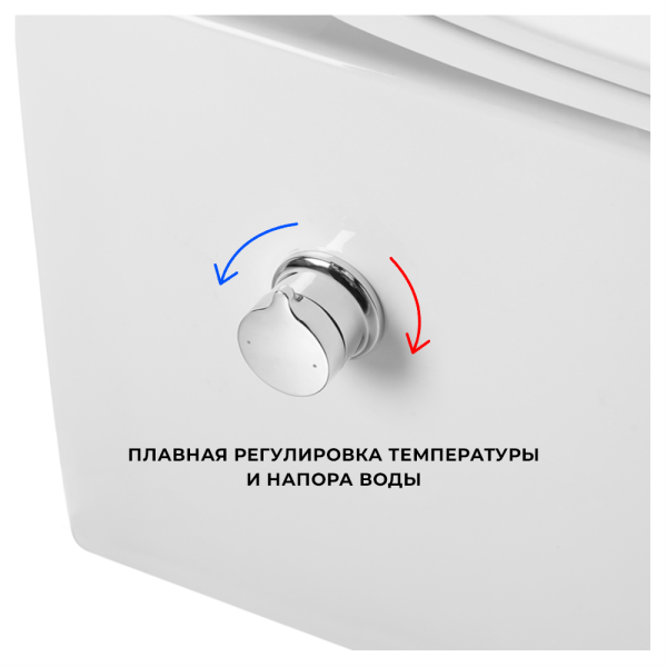 Унитаз подвесной AVS Плутон белый, с функцией биде Унитаз подвесной AVS Плутон белый, с функцией биде